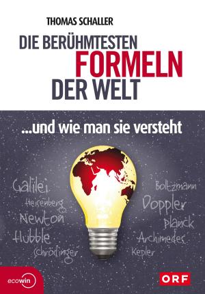 Cover of the book Die berühmtesten Formeln der Welt... und wie man sie versteht by Stefan Karner