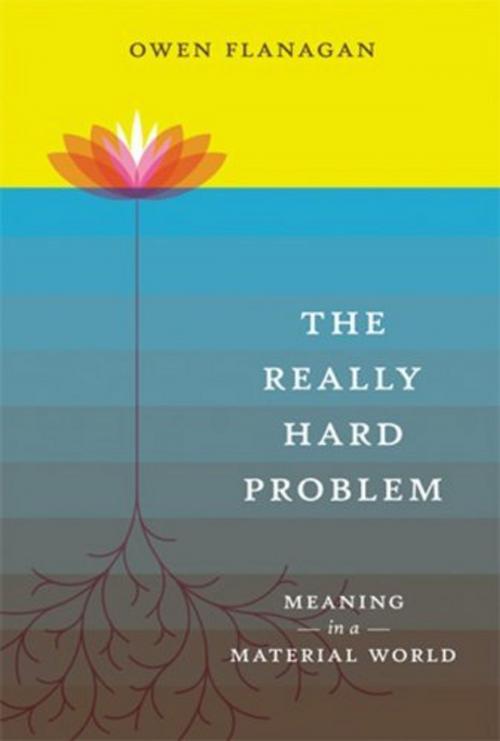 Cover of the book The Really Hard Problem: Meaning in a Material World by Owen Flanagan, MIT Press