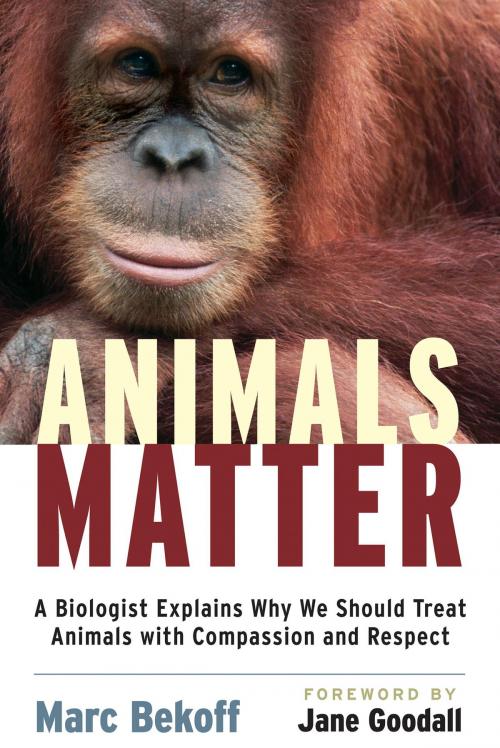Cover of the book Animals Matter by Marc Bekoff, Ph.D., Shambhala