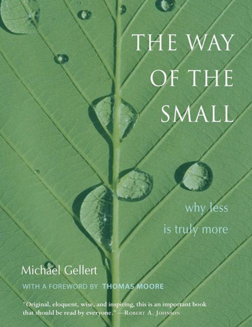 Cover of the book The Way of the Small by Gellert, Michael, Nicolas-Hays, Inc.