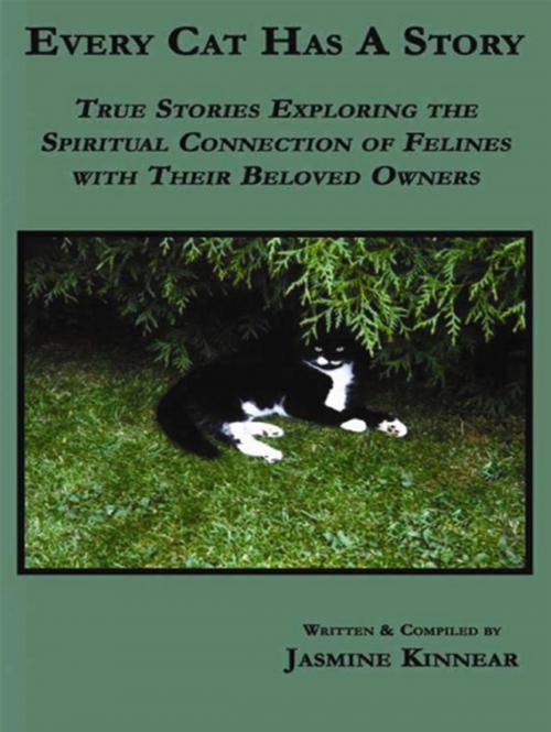 Cover of the book Every Cat Has A Story: True Stories Exploring The Spiritual Connection Of Felines With Their Beloved Owners by Jasmine Kinnear, CCB Publishing