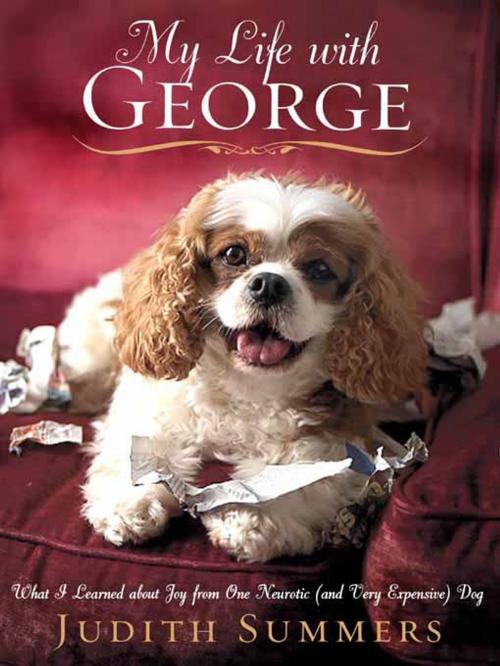 Cover of the book My Life With George by Judith Summers, Hachette Books
