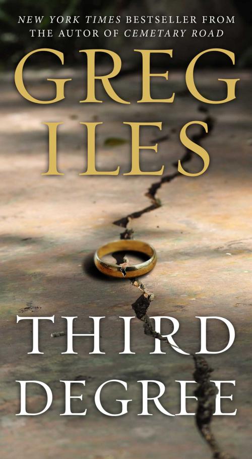 Cover of the book Third Degree by Greg Iles, Scribner