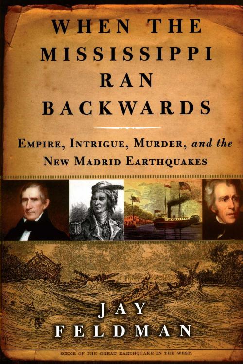 Cover of the book When the Mississippi Ran Backwards by Jay Feldman, Free Press