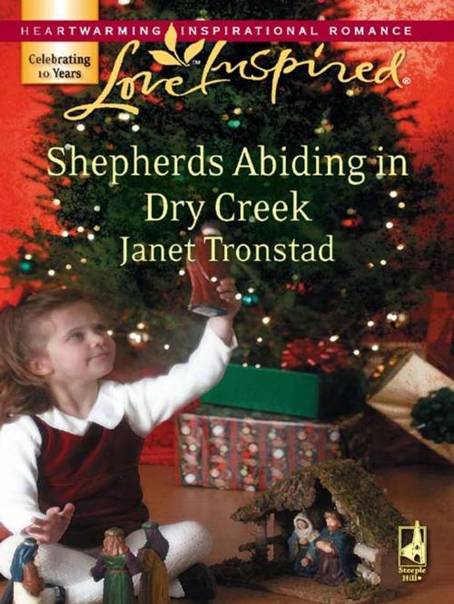 Cover of the book Shepherds Abiding in Dry Creek by Janet Tronstad, Steeple Hill
