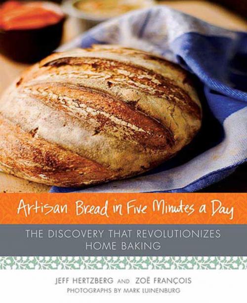 Cover of the book Artisan Bread in Five Minutes a Day by Zoë François, Jeff Hertzberg, M.D., St. Martin's Press