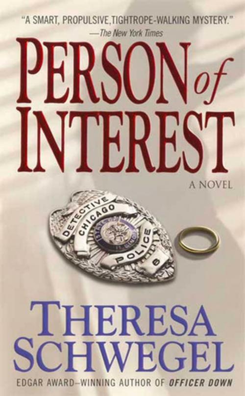 Cover of the book Person of Interest by Theresa Schwegel, St. Martin's Press