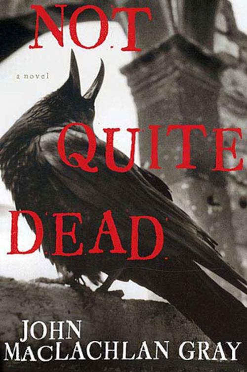 Cover of the book Not Quite Dead by John MacLachlan Gray, St. Martin's Press