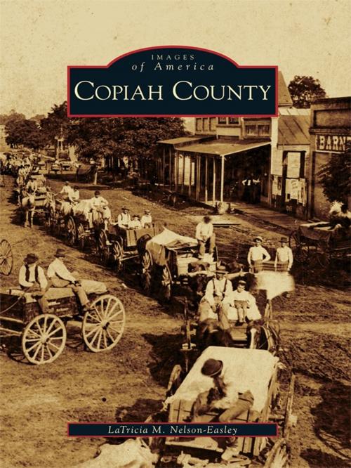 Cover of the book Copiah County by LaTricia M. Nelson-Easley, Arcadia Publishing Inc.