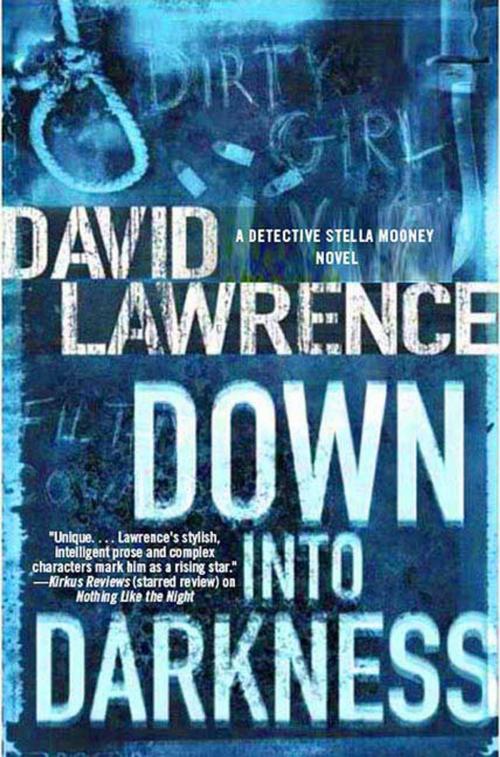 Cover of the book Down into Darkness by David Lawrence, St. Martin's Press