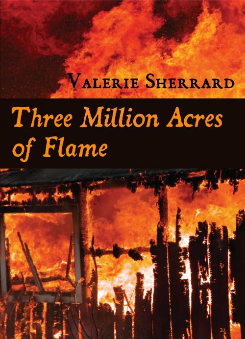 Cover of the book Three Million Acres of Flame by Valerie Sherrard, Dundurn