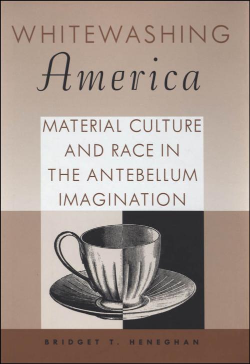 Cover of the book Whitewashing America by Bridget T. Heneghan, University Press of Mississippi
