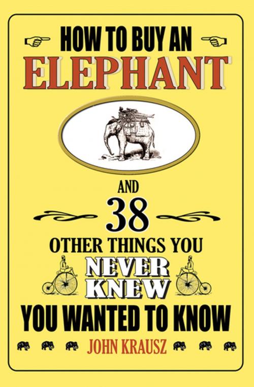 Cover of the book How to Buy an Elephant by John Krausz, Skyhorse Publishing