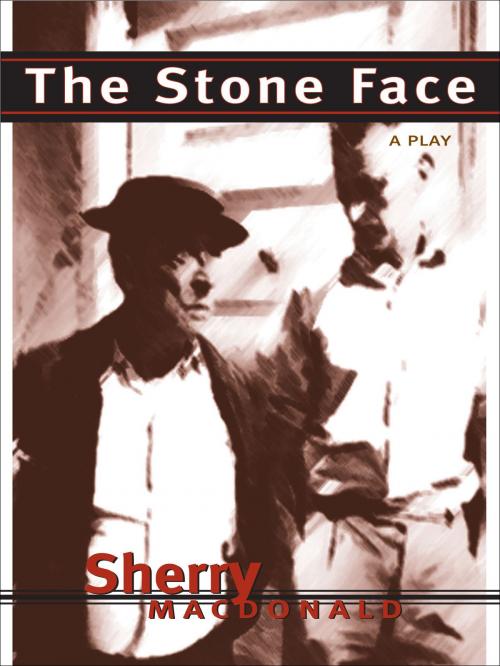 Cover of the book The Stone Face by Sherry MacDonald, Anvil Press