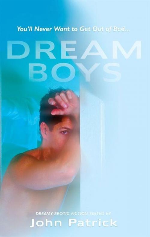 Cover of the book Dream Boys by John Patrick, STARbooks Press