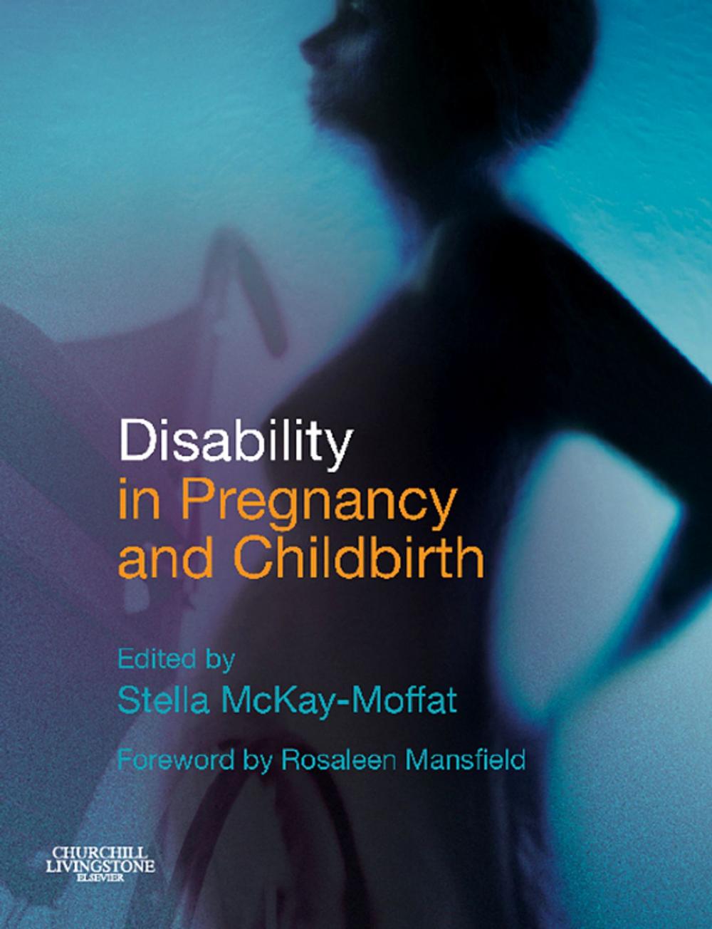 Big bigCover of Disability in Pregnancy and Childbirth