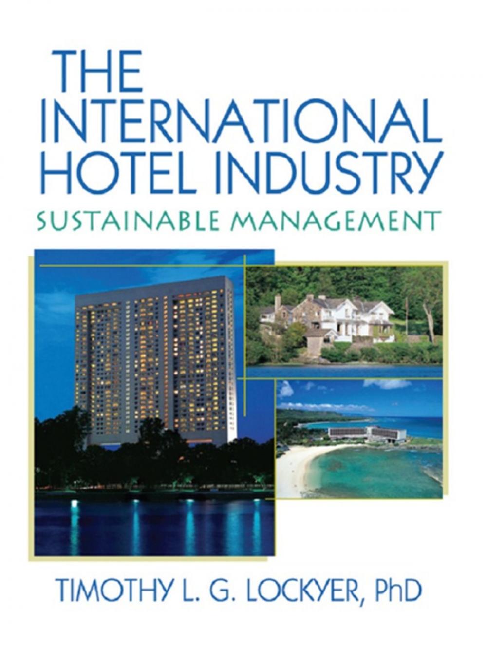 Big bigCover of The International Hotel Industry