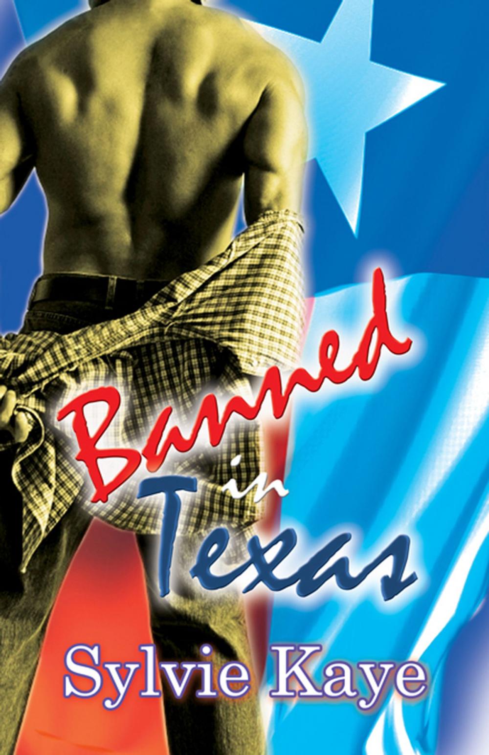 Big bigCover of Banned in Texas