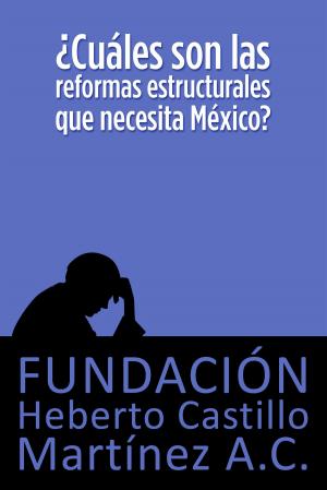 Cover of the book ¿Cuáles son las reformas estructurales que necesita México? by Marco Gasperoni