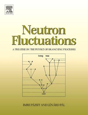 Cover of the book Neutron Fluctuations by Hongzhang Chen