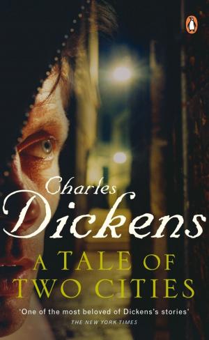 Cover of the book A Tale of Two Cities by Angie Beasley