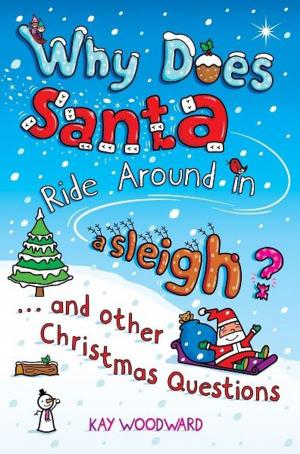Book cover of Why Does Santa Ride Around in a Sleigh?