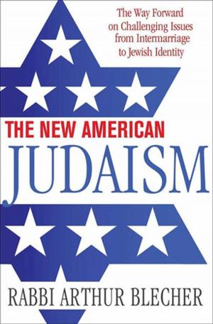 Cover of the book The New American Judaism by Peter Steiner