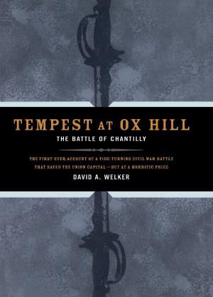 Cover of the book Tempest At Ox Hill by Jorg Blech