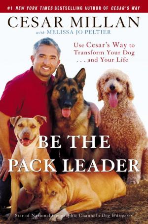 Book cover of Be the Pack Leader