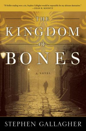 Cover of the book The Kingdom of Bones by RM Alexander