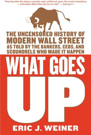 Cover of the book What Goes Up by Rabbis of Boca Raton Theological Seminary, Ellis Weiner, Barbara Davilman