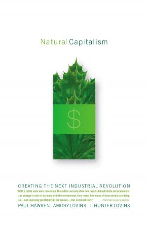 Cover of the book Natural Capitalism by Steve Rushin