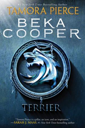 Cover of the book Terrier by Candace Fleming
