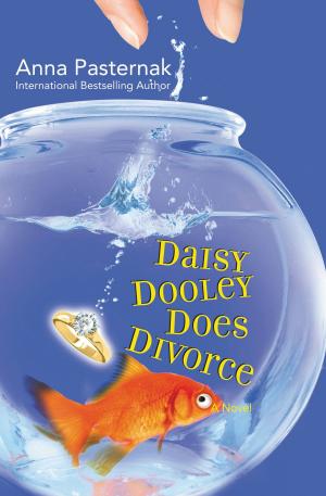 Cover of the book Daisy Dooley Does Divorce by David Hosp