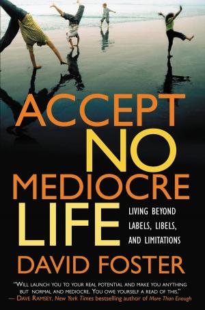 Cover of Accept No Mediocre Life