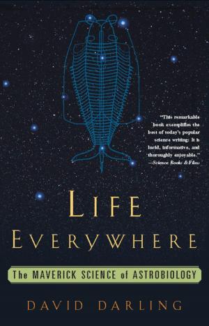 Cover of the book Life Everywhere by Barbara Sjoholm
