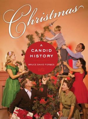 Cover of the book Christmas by Richard E. Payne