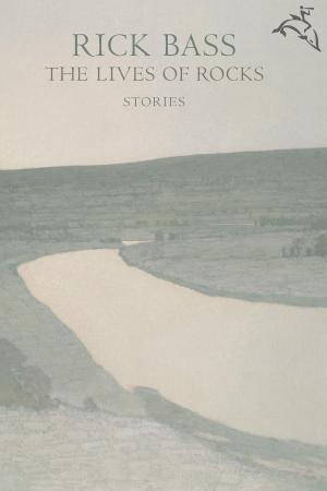 Cover of the book The Lives of Rocks by Kate Racculia