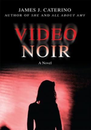 Cover of the book Video Noir by Frank Reliance