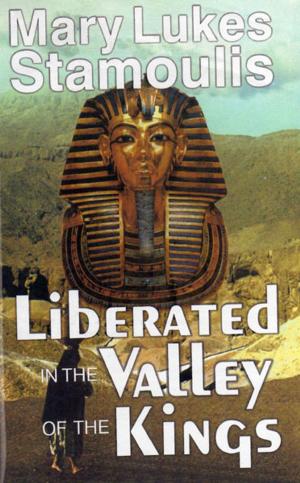Cover of the book Liberated in the Valley of the Kings by Patrick P. Stafford