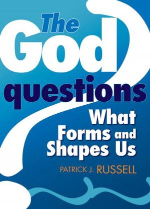 Cover of the book The God Questions by Ginger Infantino