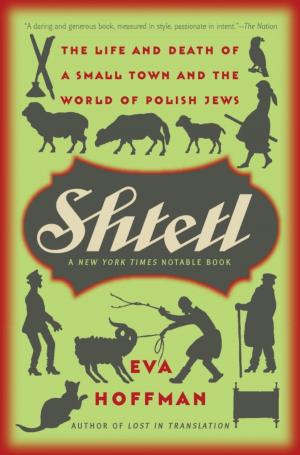 Book cover of Shtetl