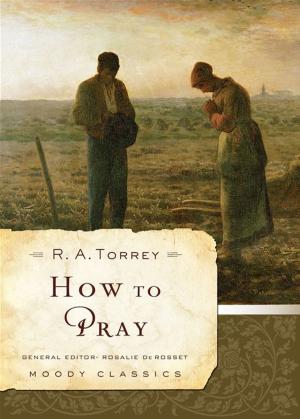 Cover of the book How to Pray by Mark Jobe