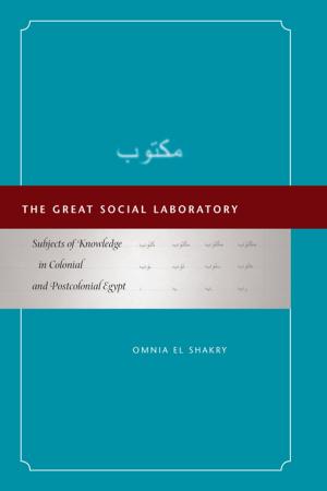 Cover of the book The Great Social Laboratory by Lori Allen