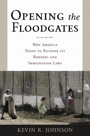 Cover of the book Opening the Floodgates by Elise M. Prébin