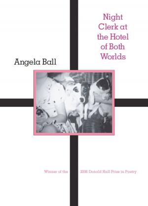 Cover of Night Clerk at the Hotel of Both Worlds