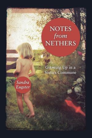 Cover of the book Notes From Nethers by Sabrina Lamb
