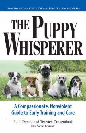 Book cover of The Puppy Whisperer