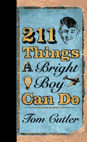 Cover of the book 211 Things a Bright Boy Can Do by Tabor Evans