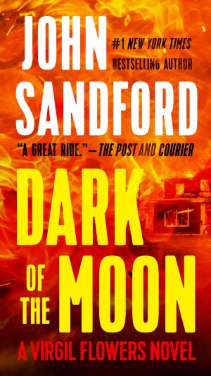 Cover of the book Dark of the Moon by Frederick Forsyth